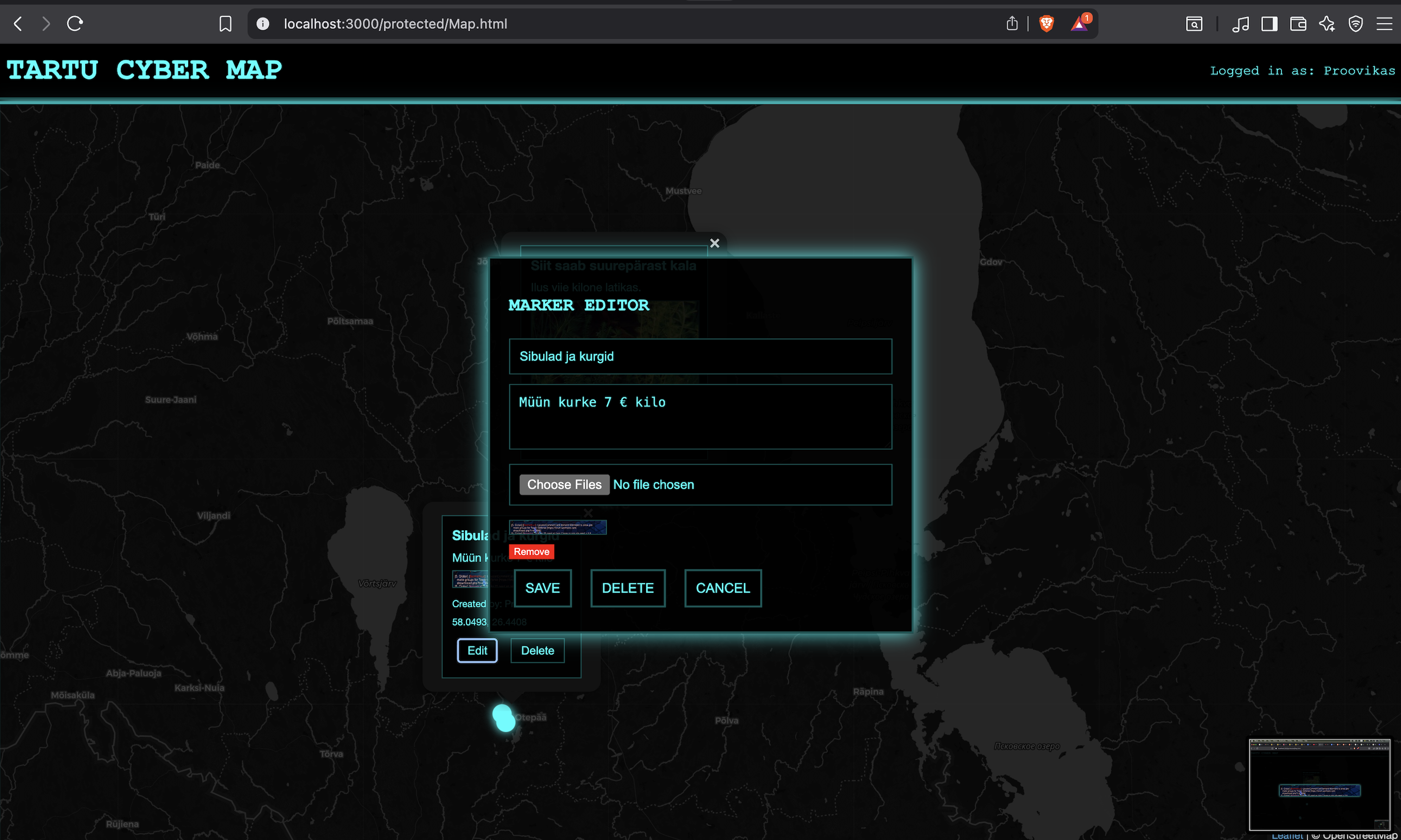 Leaflet map function