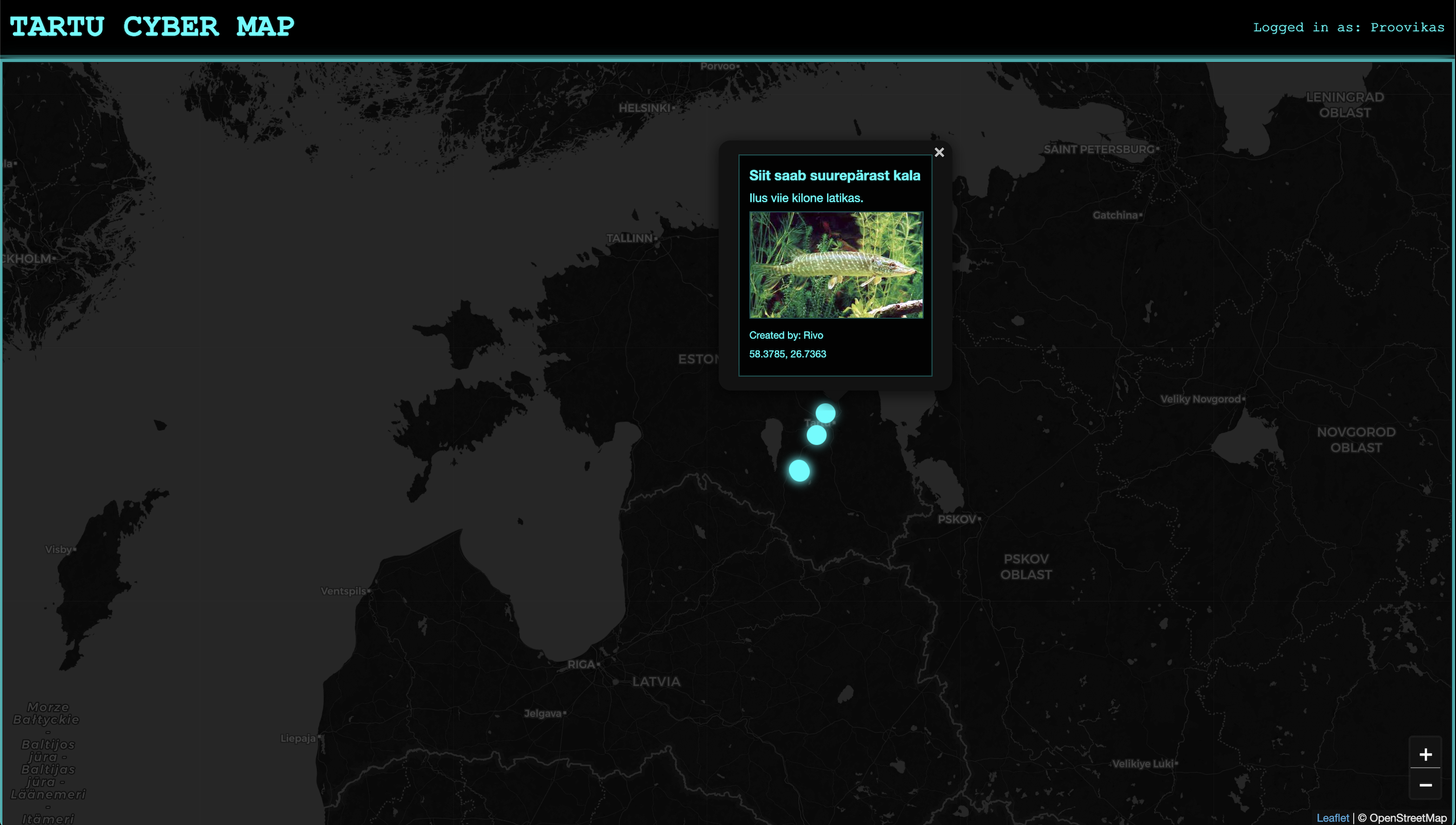 Leaflet map function with mouse over