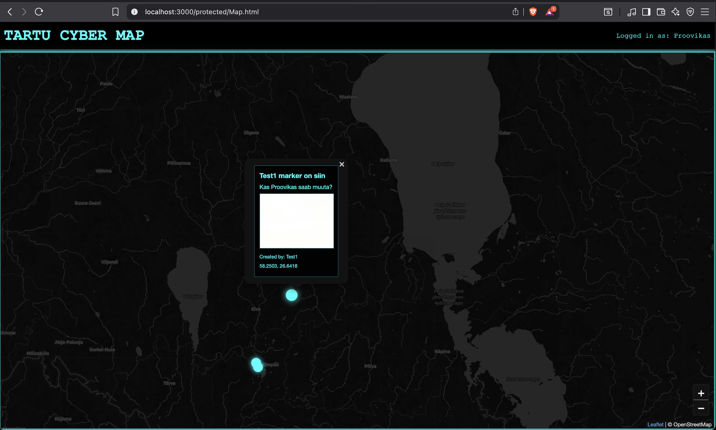 Leaflet map function with mouse over
