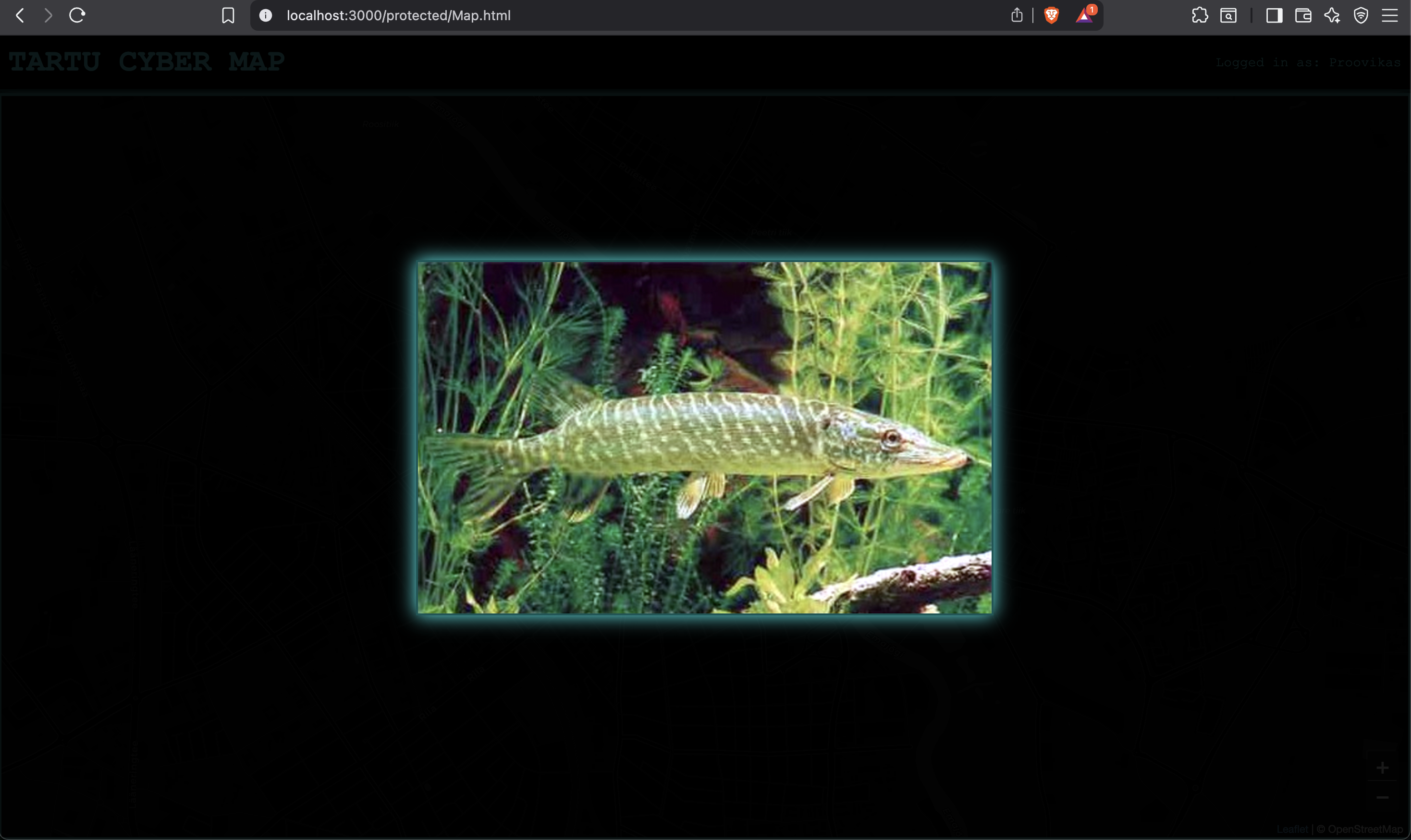 Leaflet map function with pictures